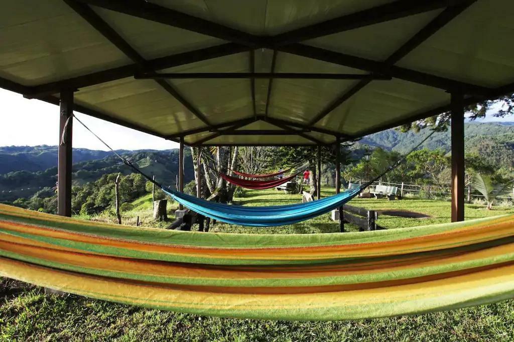 Salento Finca Hotel Mundo Nuevo ภายนอก รูปภาพ